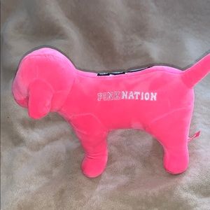 Pink Victoria’s Secret